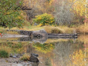 Taghum Reflections